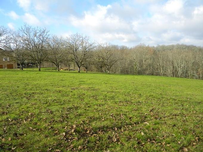 Terrain à Saint-Michel-Loubejou