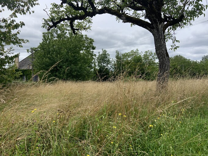 Terrain à bâtir