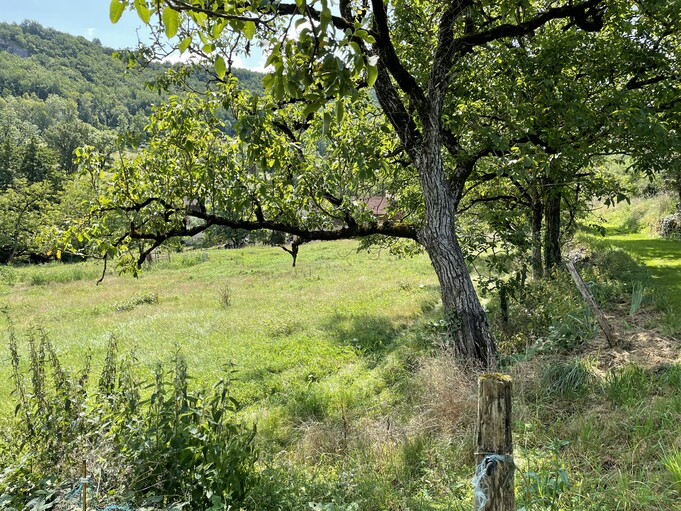 Terrain à bâtir